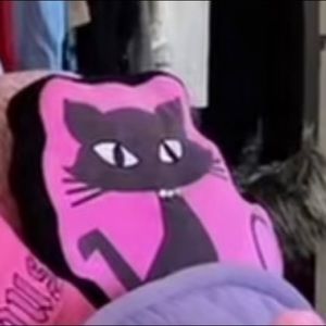 ISO! DO NOT BUY! Looking to buy if anyone has this and is willing to part with